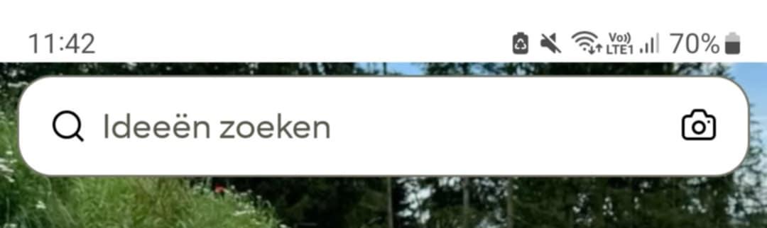 Pinterest Lens visueel zoeken