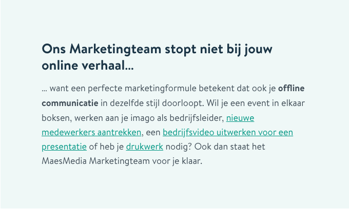 Printscreen van onze marketingteam pagina met een voorbeeld van interne links binnen onze tekst.