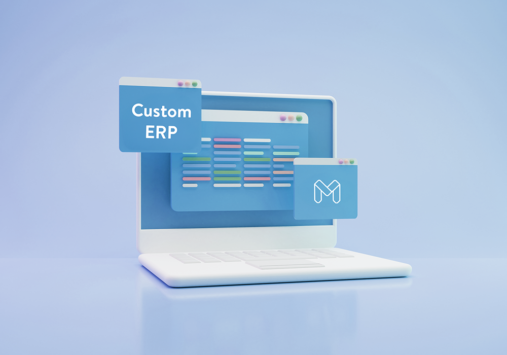 custom erp koppeling met website