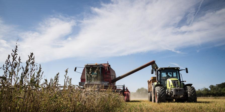 Fabulous Farmers